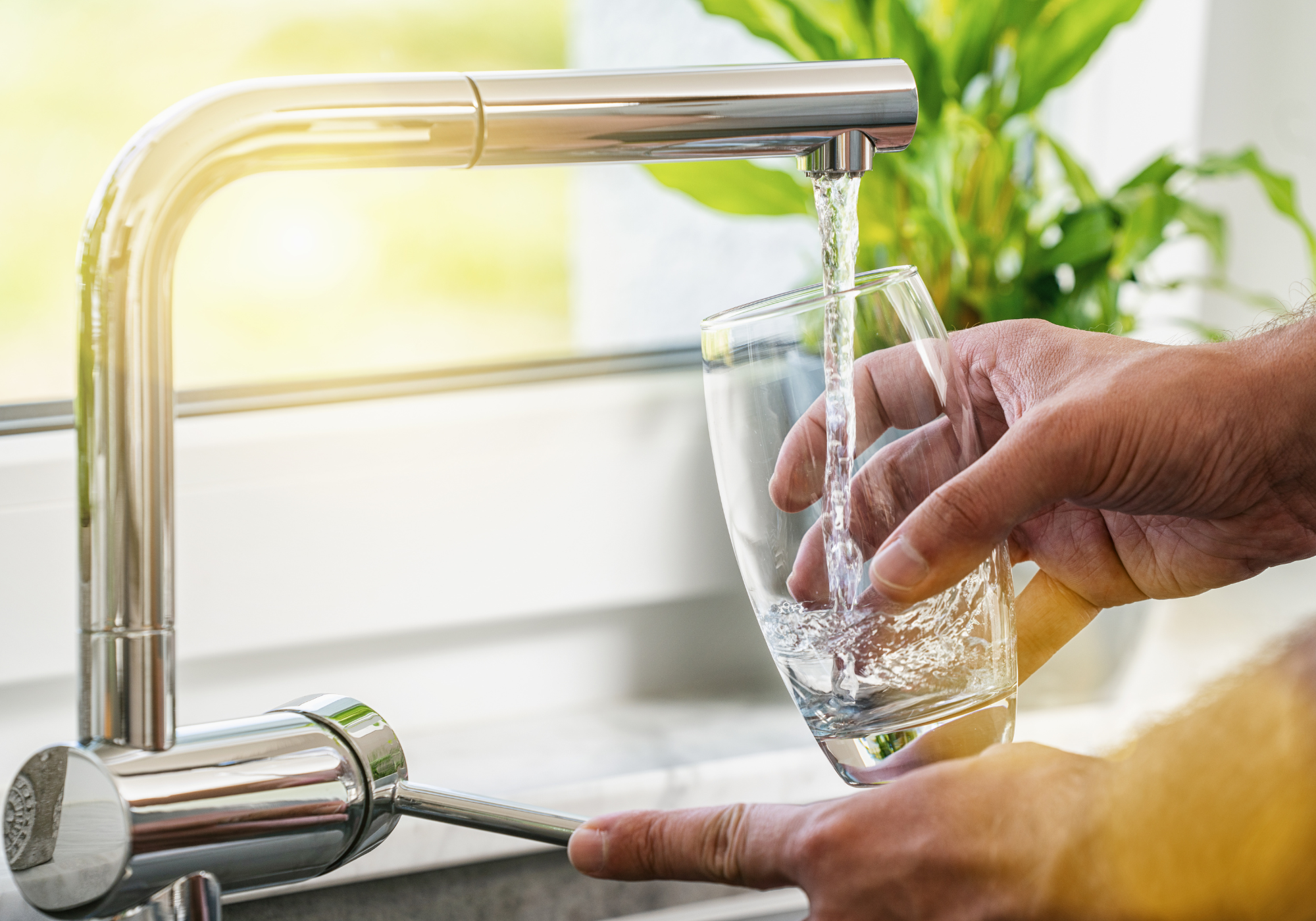 Leitungswasser filtern: Filterst du dein Leitungswasser oder bist du der Filter?