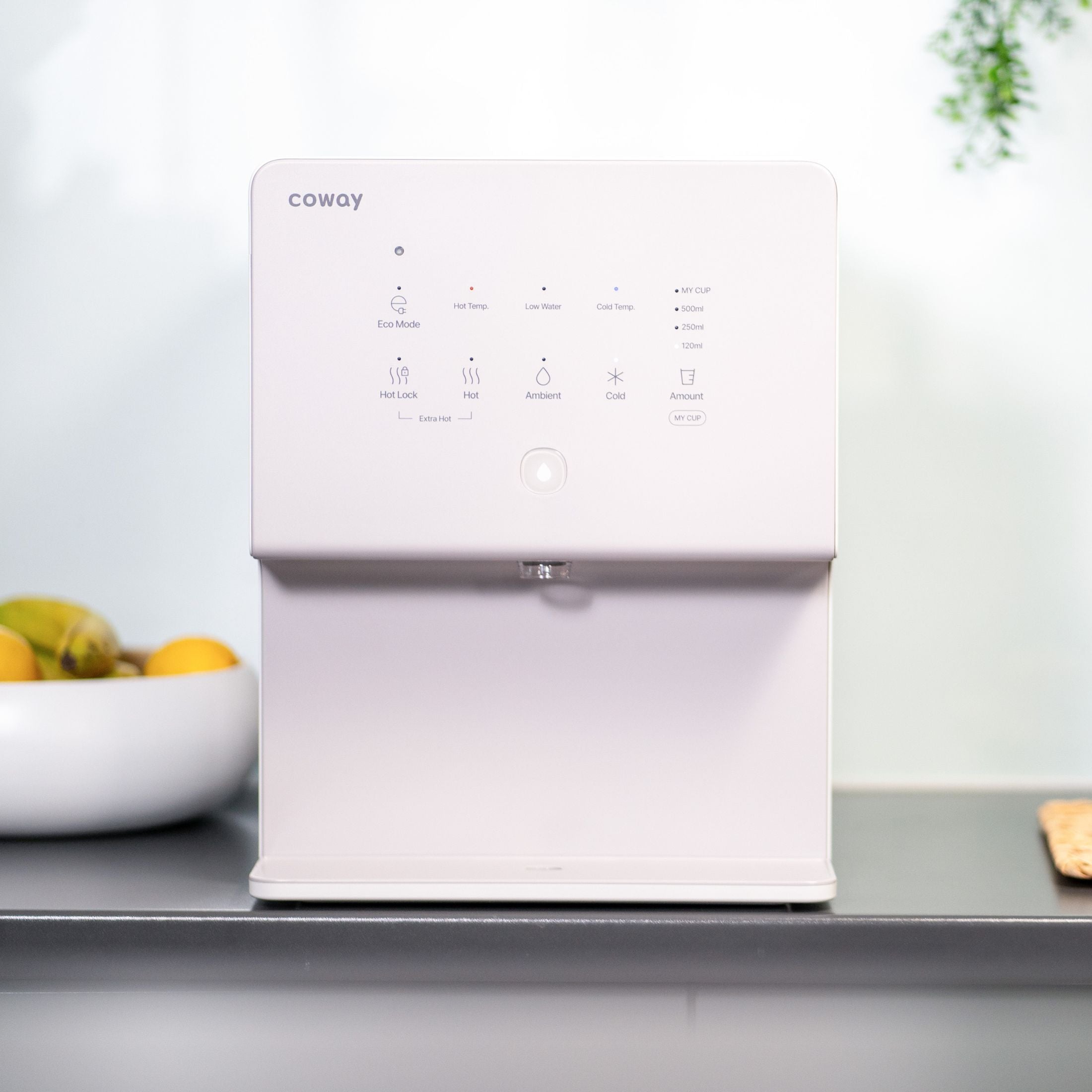 Coway CHP630 Wasserreiniger online bestellen
